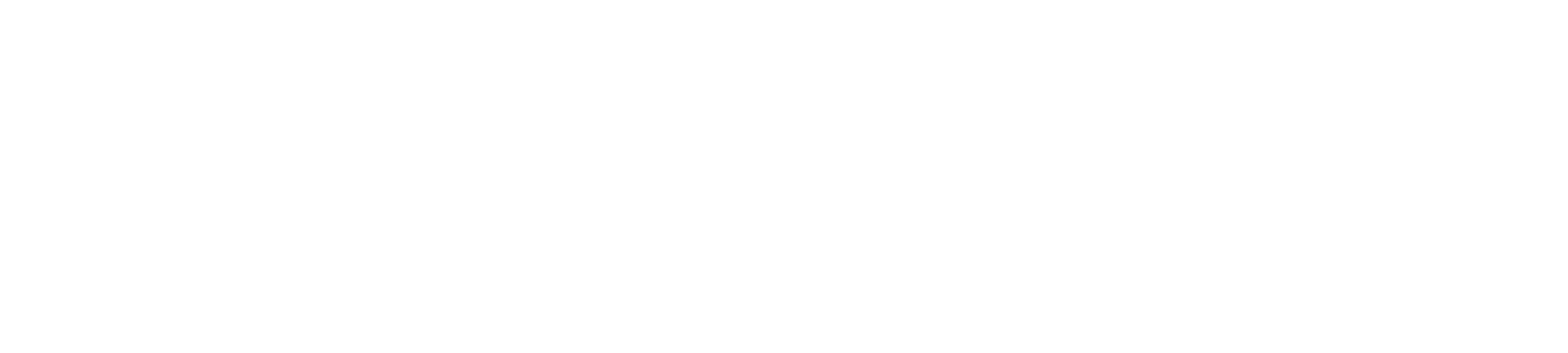 ANSA logo