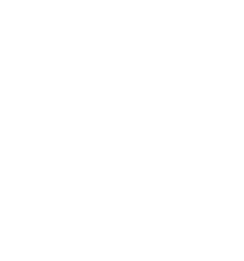 Surf n' Taste logo